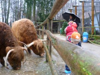 Offenbach beschließt Ausbau des Waldzoos und stellt Mittel bereit
