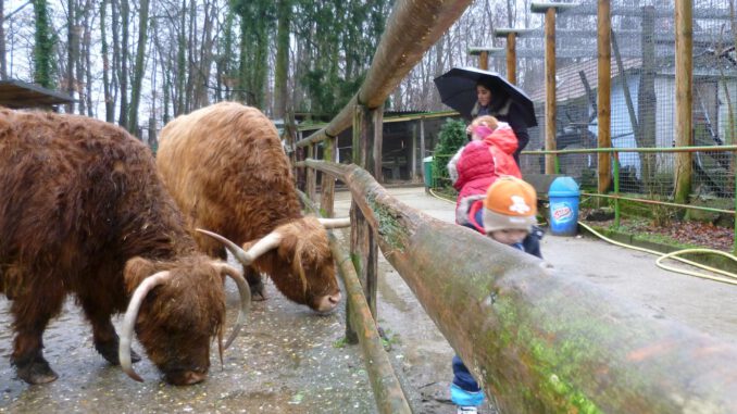 Offenbach beschließt Ausbau des Waldzoos und stellt Mittel bereit