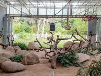 Zooführung am 20. Dezember erklärt, wie Tiere den Winter bewältigen