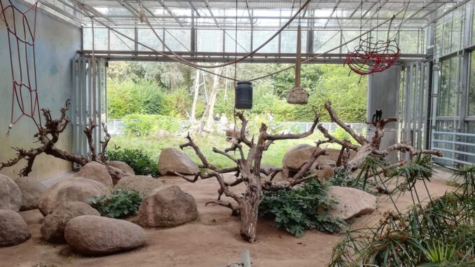 Zooführung am 20. Dezember erklärt, wie Tiere den Winter bewältigen